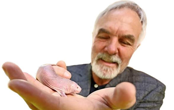 Professor Dr. med. Gerd Birkenmeier