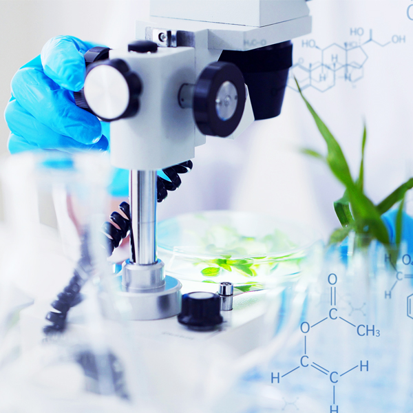 Wissenschaft und Natur